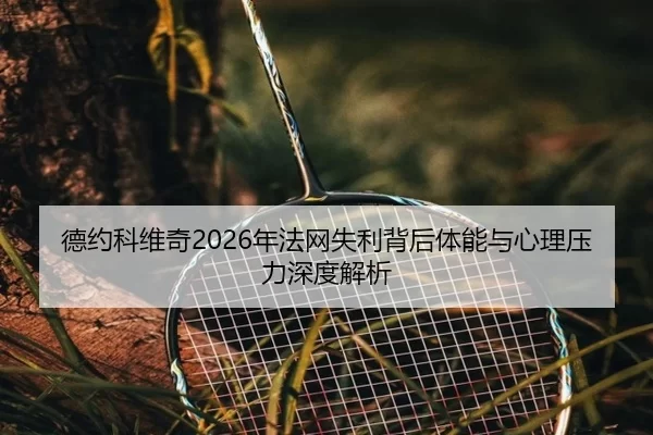 de-yue-ke-wei-qi-nian-fa-wang-shi-li-bei-hou-ti-neng-yu-xin-li-ya-li-shen-du-jie-xi-2-512.jpg