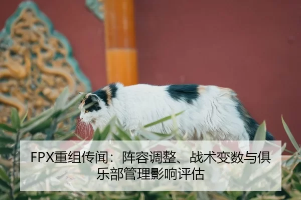 FPX重组传闻：阵容调整、战术变数与俱乐部管理影响评估